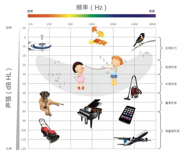 加班,熬夜过后,耳朵有点听不清?小心"低频听力下降"找上你